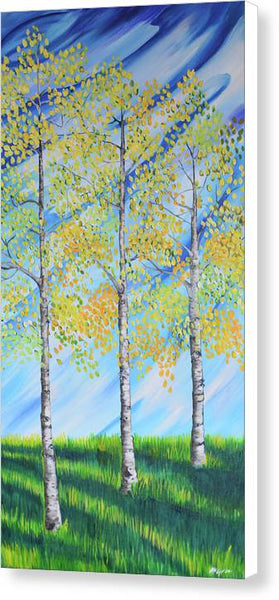 Aspen Trees Line - Canvas Print