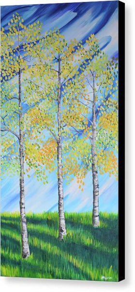 Aspen Trees Line - Canvas Print