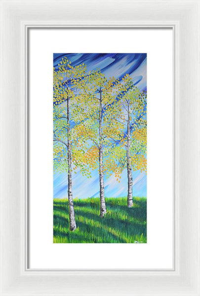 Aspen Trees Line - Framed Print