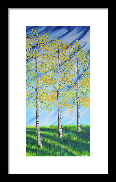 Aspen Trees Line - Framed Print