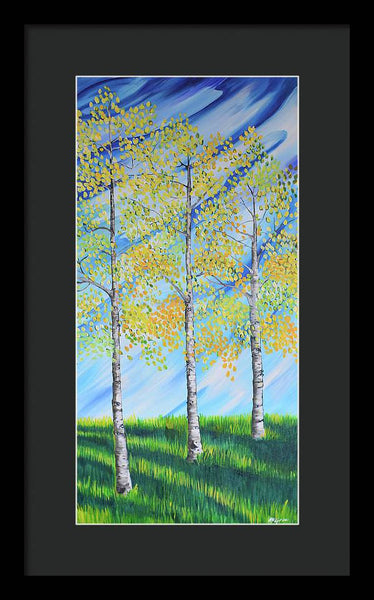 Aspen Trees Line - Framed Print