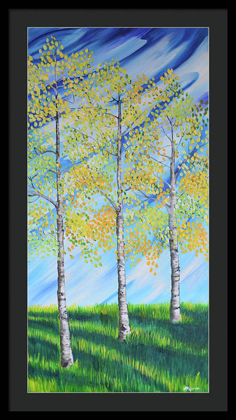 Aspen Trees Line - Framed Print