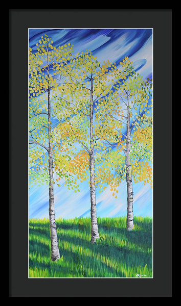 Aspen Trees Line - Framed Print