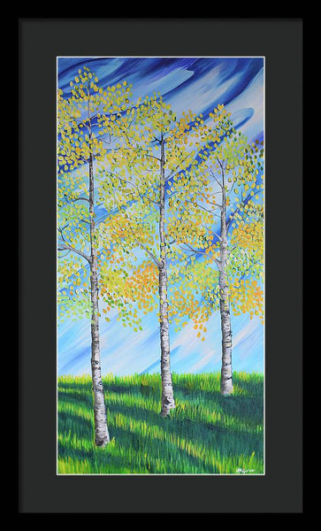 Aspen Trees Line - Framed Print