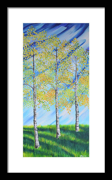 Aspen Trees Line - Framed Print