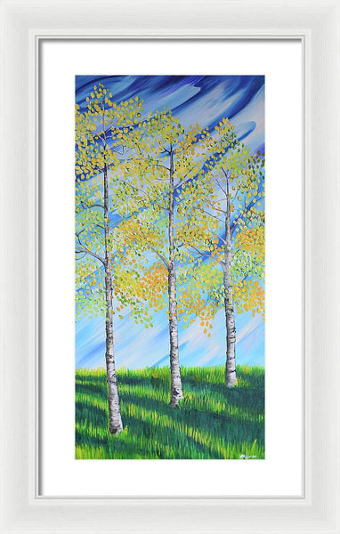 Aspen Trees Line - Framed Print