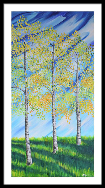 Aspen Trees Line - Framed Print