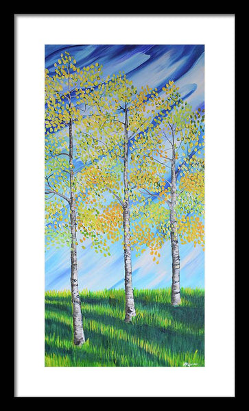 Aspen Trees Line - Framed Print