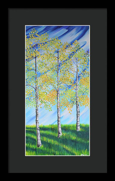 Aspen Trees Line - Framed Print