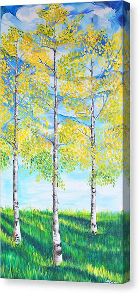 Aspen Trees triangle - Canvas Print