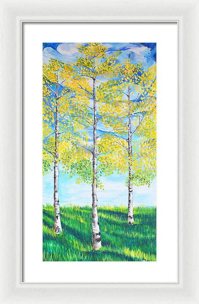 Aspen Trees triangle - Framed Print