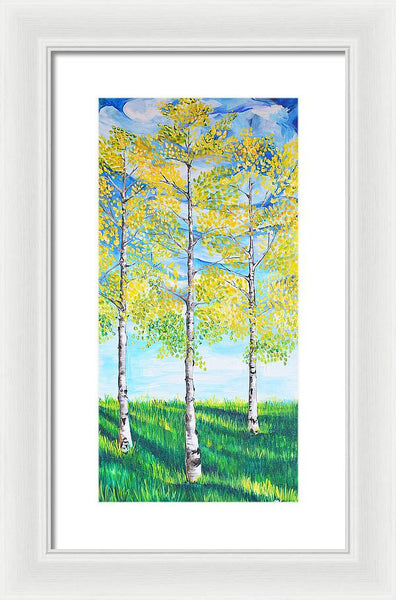Aspen Trees triangle - Framed Print