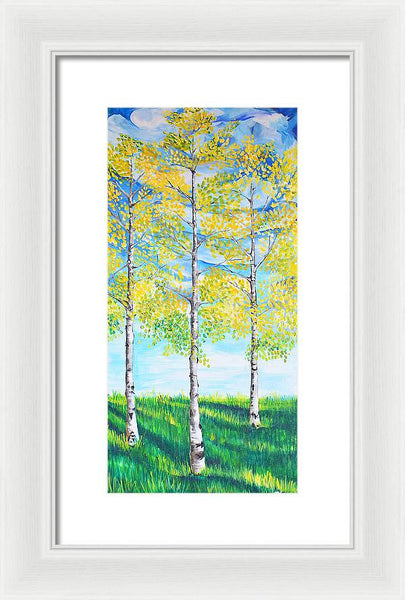 Aspen Trees triangle - Framed Print