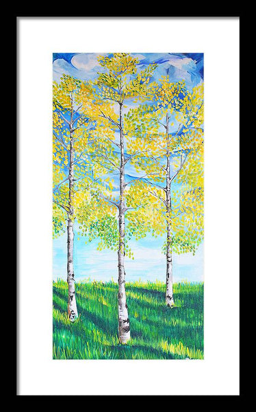 Aspen Trees triangle - Framed Print