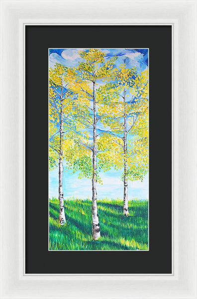 Aspen Trees triangle - Framed Print