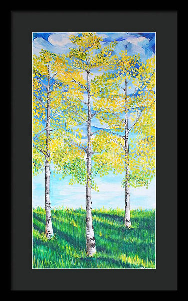 Aspen Trees triangle - Framed Print