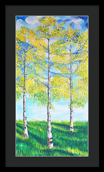 Aspen Trees triangle - Framed Print