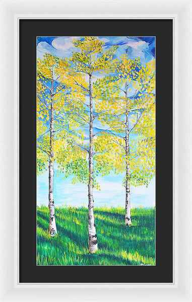 Aspen Trees triangle - Framed Print