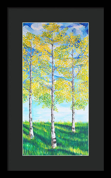 Aspen Trees triangle - Framed Print