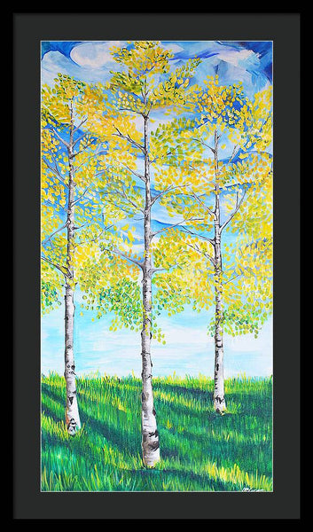 Aspen Trees triangle - Framed Print
