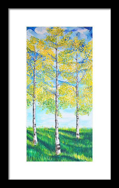 Aspen Trees triangle - Framed Print