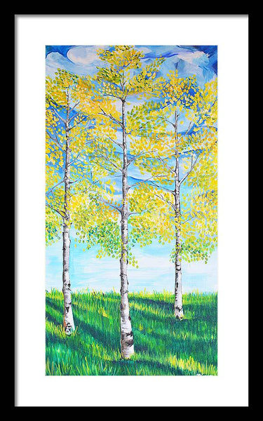 Aspen Trees triangle - Framed Print