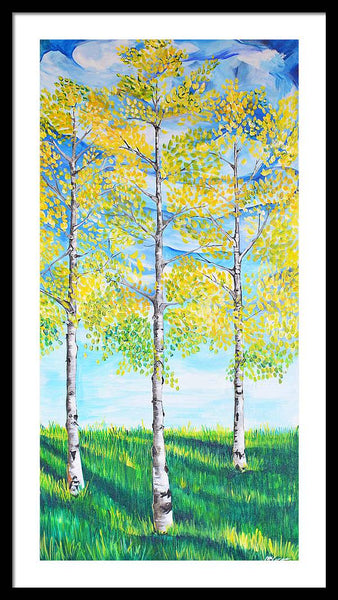 Aspen Trees triangle - Framed Print
