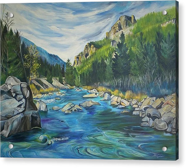 Gallatin River - Acrylic Print