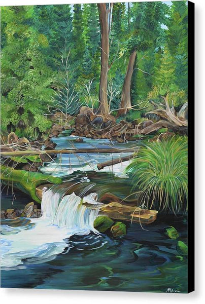 Stonewall Creek - Canvas Print