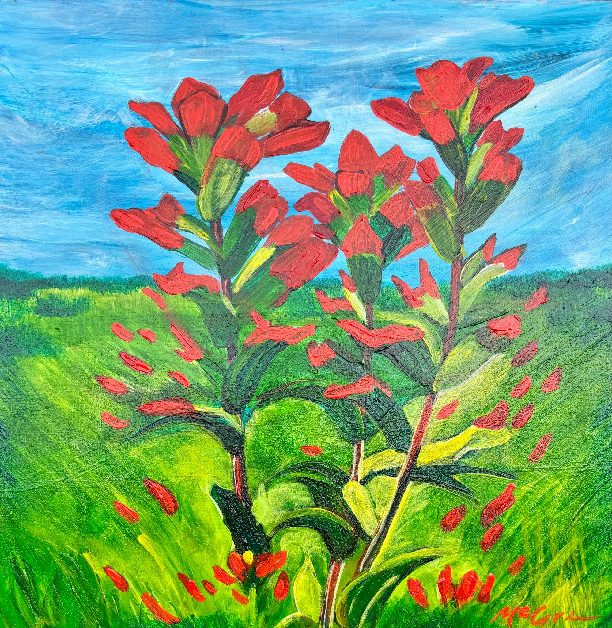 Indian Paintbrush