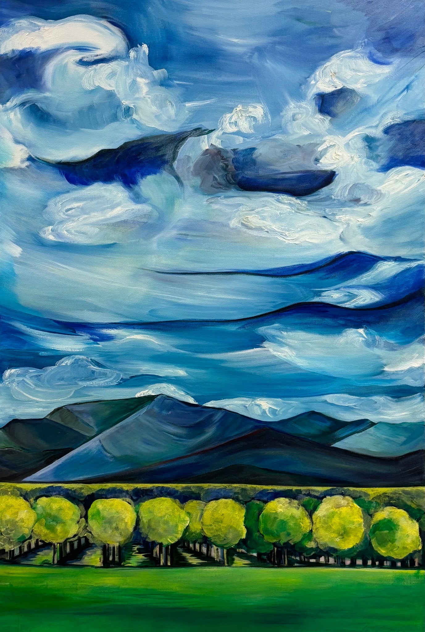 Mountain Vineyard