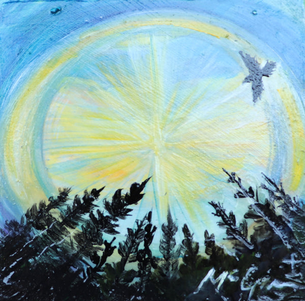 Raven, Sundog, Pine Trees