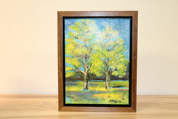 Nion Ash Trees