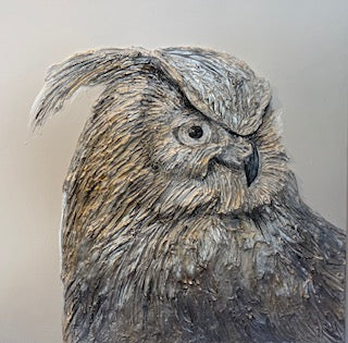 Gray Owl