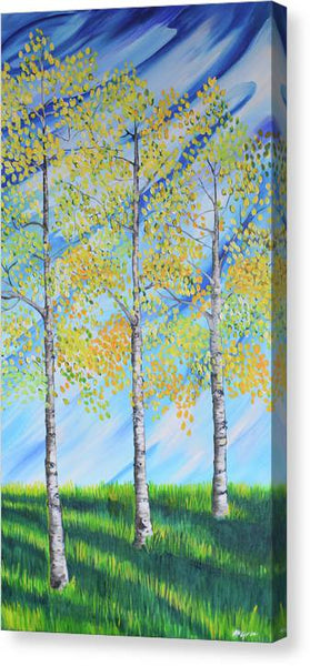 Aspen Trees Line - Canvas Print