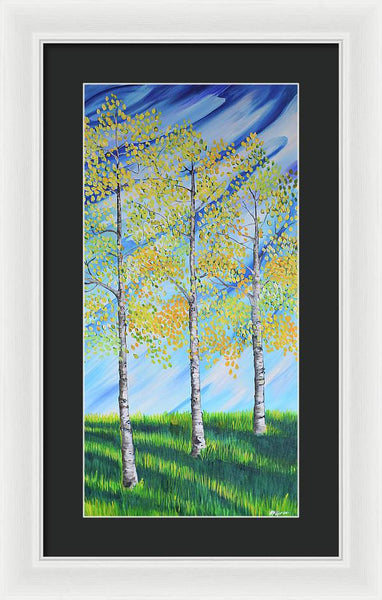 Aspen Trees Line - Framed Print