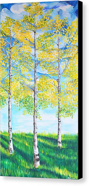 Aspen Trees triangle - Canvas Print
