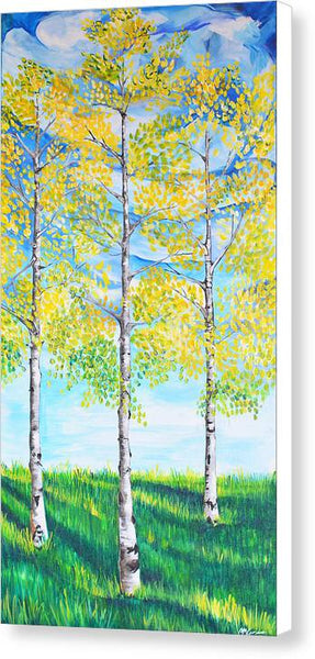 Aspen Trees triangle - Canvas Print