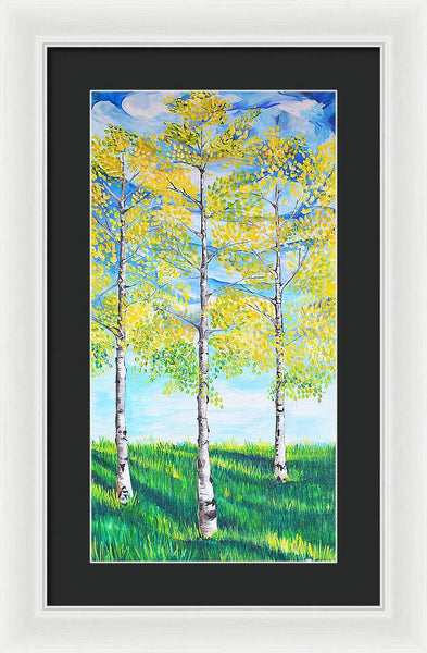 Aspen Trees triangle - Framed Print