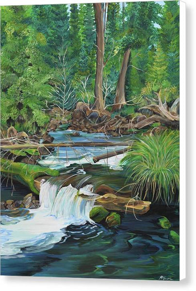 Stonewall Creek - Canvas Print